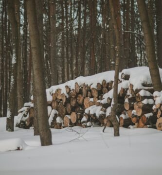 a pile of logs sitting in the middle of a forest